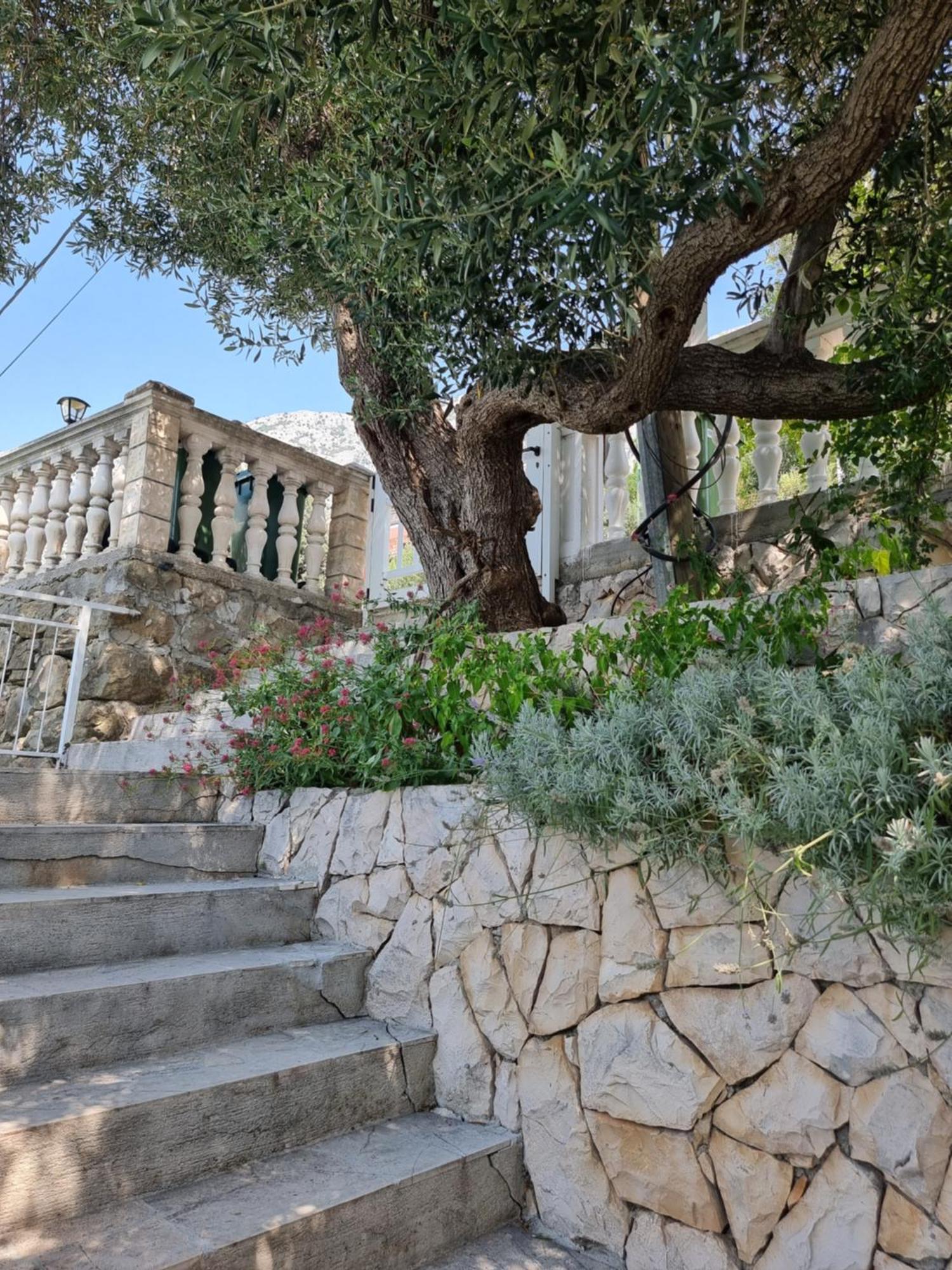 Apartmani Anda Zivogosce Luaran gambar
